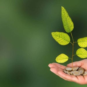 Anteproyecto de ley de ESG: un mejor marco regulatorio y de verificación sobre la sostenibilidad